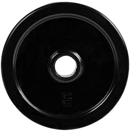 Black Rubber Coated Standard 1-Inch Weights (Single Plate)-Gains Everyday