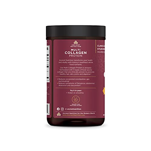 Collagen Powder Protein by Ancient Nutrition, Multi Collagen Protein Gut Restore, Lemon Ginger, Apple Cider Vinegar, Vitamin C, Hydrolyzed Collagen Peptides for Healthy Hair and Nails,8.4 oz.-Gains Everyday