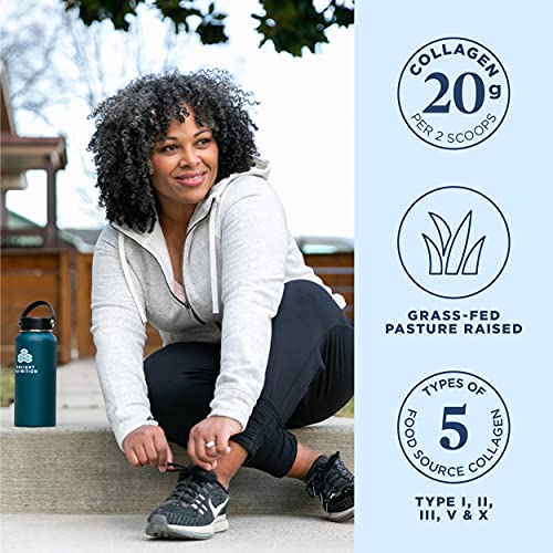 Collagen Powder Protein by Ancient Nutrition, Multi Collagen Protein Gut Restore, Lemon Ginger, Apple Cider Vinegar, Vitamin C, Hydrolyzed Collagen Peptides for Healthy Hair and Nails,8.4 oz.-Gains Everyday