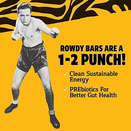 ROWDY BAR Prebiotic Protein Bar Gluten Free, Non GMO, Low Glycemic (Variety Pack, 8 Bar Variety)-Gains Everyday
